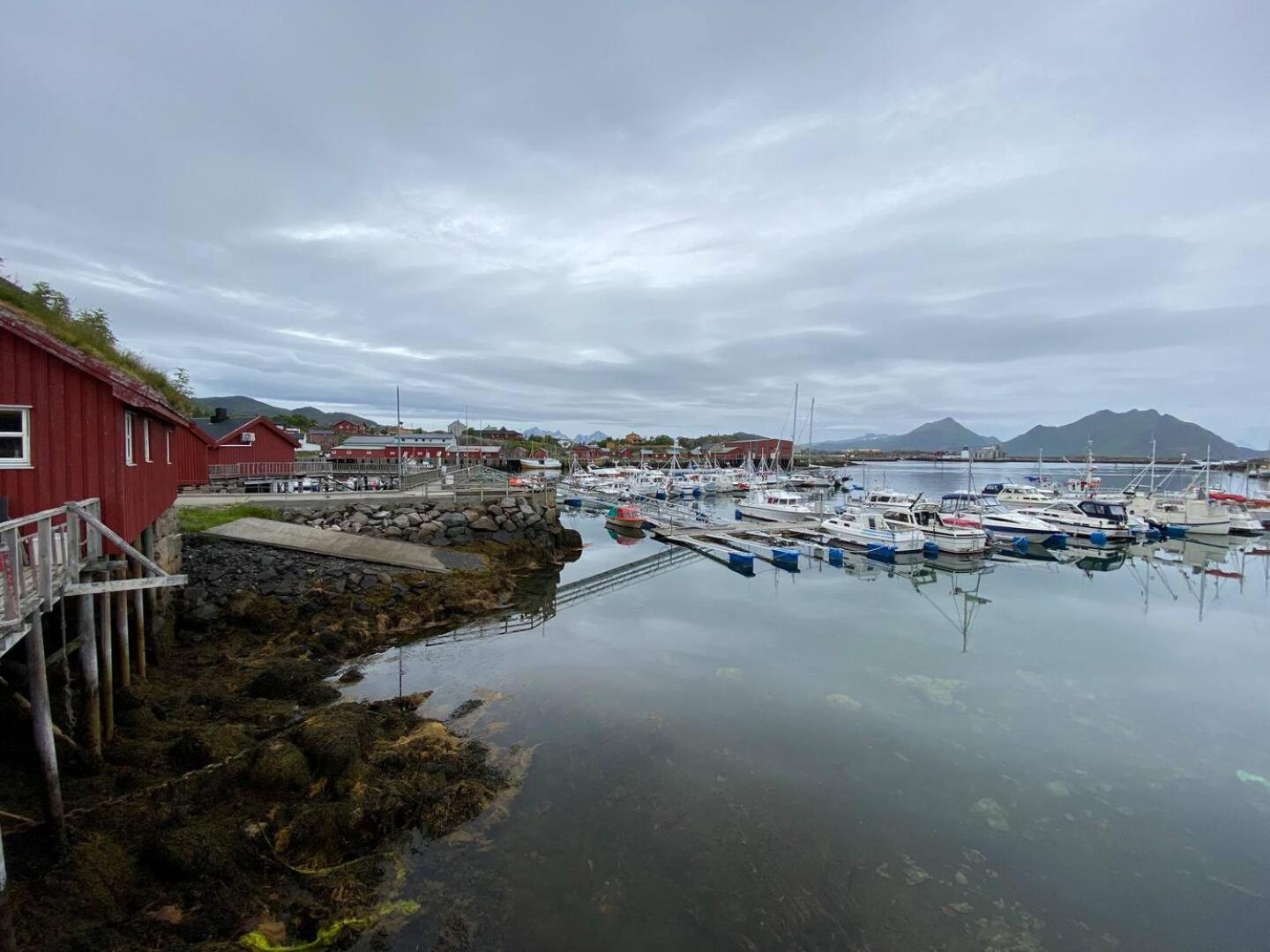 Real Fisherman'S Cabins In Ballstad, Lofoten Ngoại thất bức ảnh